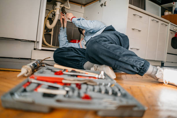 Best Plumbing Services Near Me  in Conneaut Lakeshore, PA