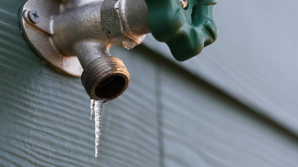 Best Clogged Drain Plumber  in Conneaut Lakeshore, PA