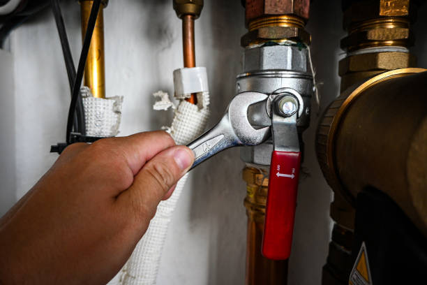 Best Plumbing Inspection Services  in Conneaut Lakeshore, PA